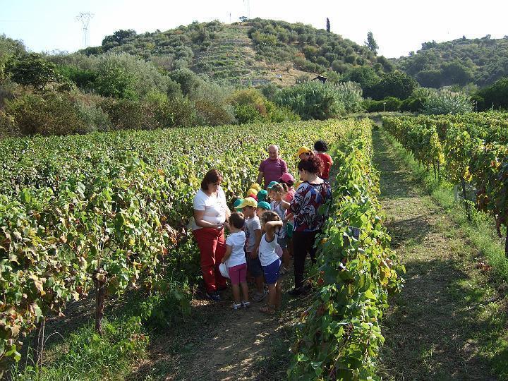 Agriturismo Parra Santa Lucia del Mela Extérieur photo