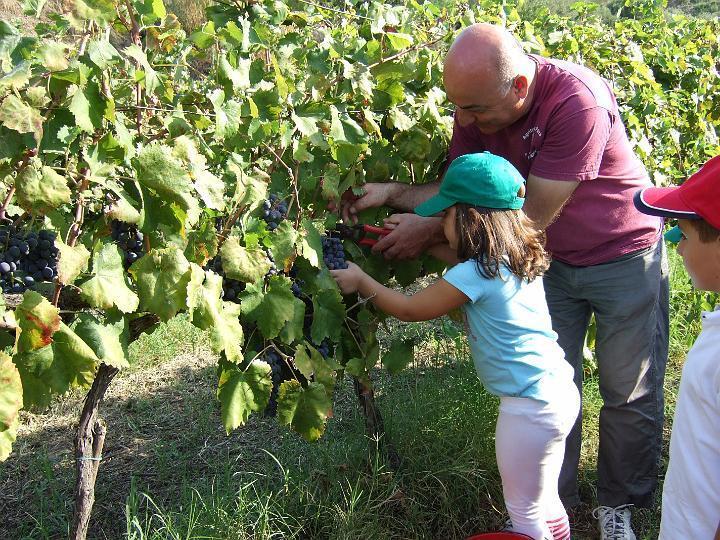 Agriturismo Parra Santa Lucia del Mela Extérieur photo