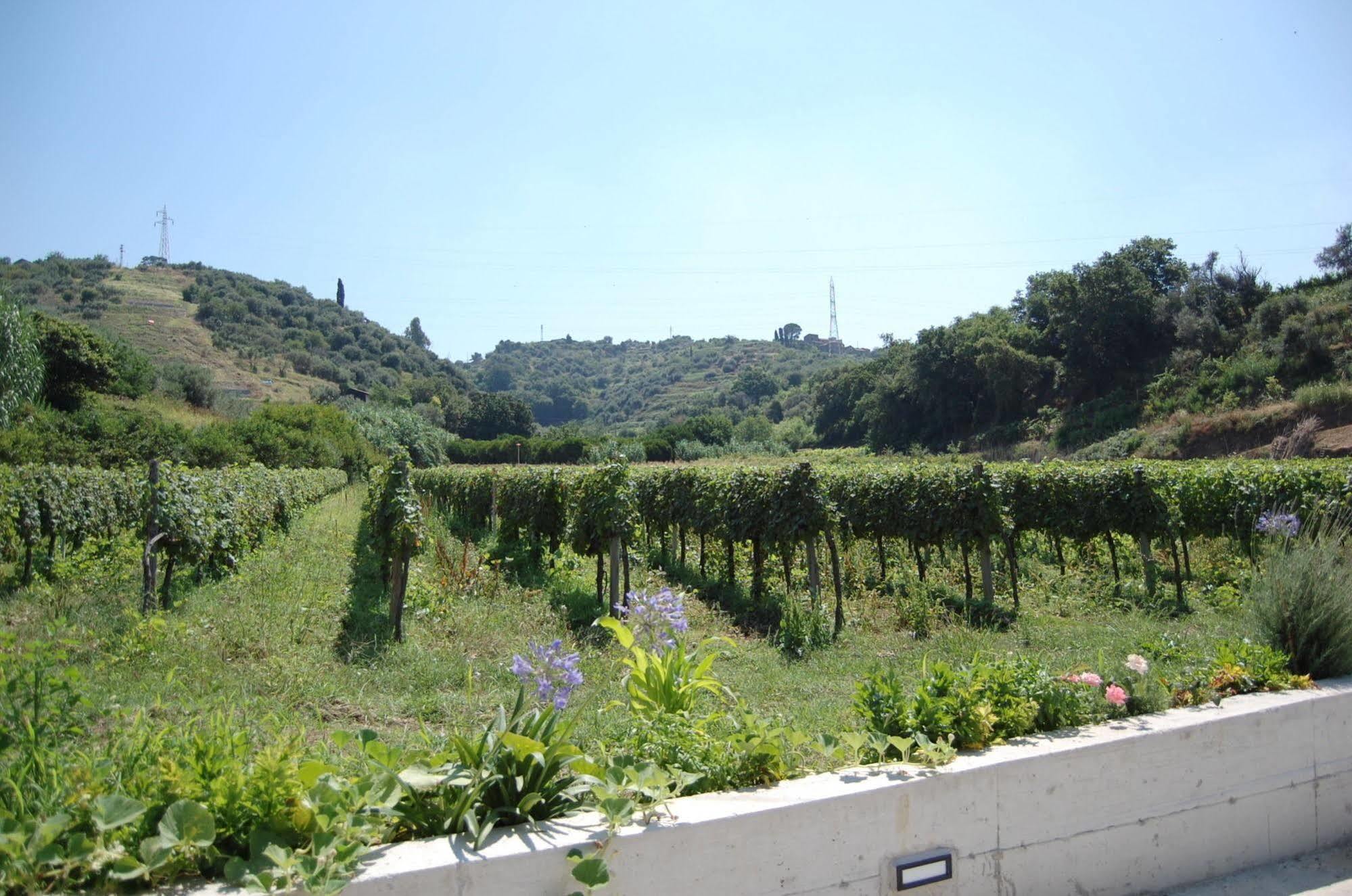 Agriturismo Parra Santa Lucia del Mela Extérieur photo